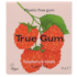 True Gum Chewing-Gum Framboise et Vanille image 1