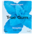 True Gum Chewing-Gum Menthe Forte image 1