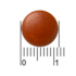 Bional Nervovit Forte (45 tabletten) image 2