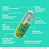 Wellbeing Nutrition Multi Man - 60 capsules image 4