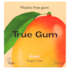 True Gum Chewing-Gum Mangue image 1