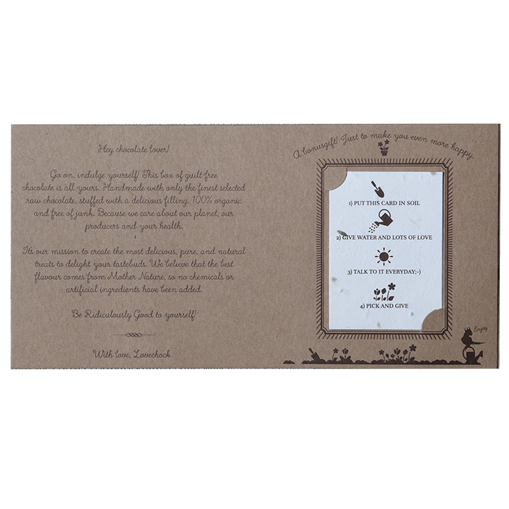 Ridiculously Good Vegan Assorted Box Bio (160gr) image 2