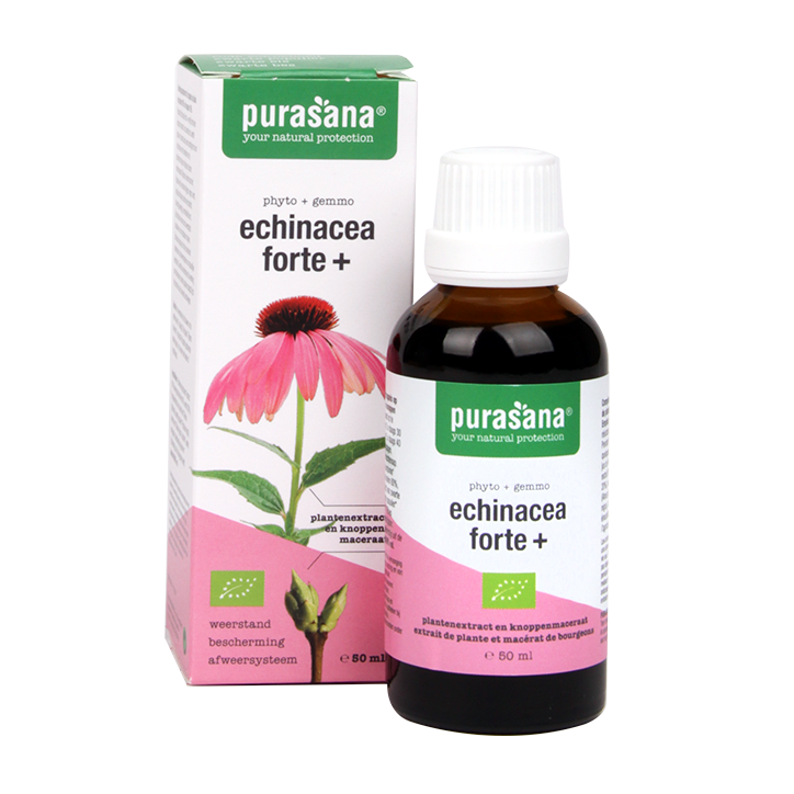Purasana Echinacea Forte+ Bio (50ml) image 2