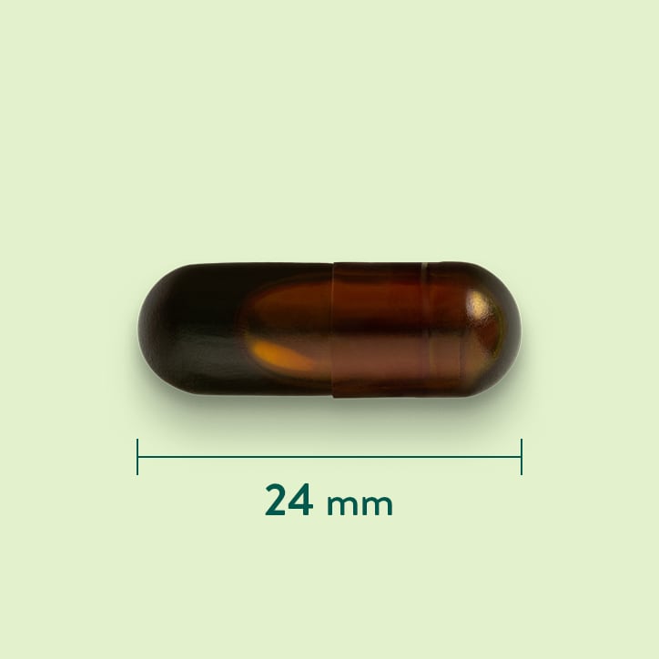 Holland & Barrett NovaSOL® Kurkuma 800 mg - 30 capsules image 3