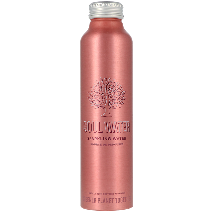 Soul Water Bruisend Mineraalwater Fles - 500 ml