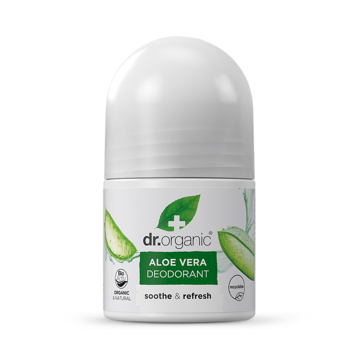 die pflanze aloe vera Aloe Vera – Echte Heilpflanze im Topf bestellen main image 1