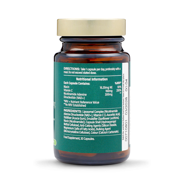 l glutathione holland and barrett Ultimate Immune Support Vitamins L-Glutathione Reduced - MorNatural 150