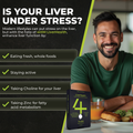 Image 3 for 4Him Liverhealth  Liver Support 60 Vegan Tablets