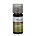 Tisserand Essential Oil Frankincence 9ml