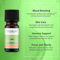 Image 3 for Lime Organic Pure Essential Oil 9ml