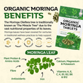 Image 3 for Organic Moringa Tablets – 180 Tablets