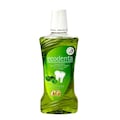 Ecodenta Multifunctional Mouthwash with Sage, Aloe Vera Extract & Mint Oil 480ml