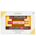 Burt's Bees Lip Colour Collection Gift Set