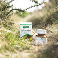Image 5 for Pollinosan HayFever Tablets