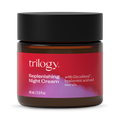 Image 3 for Replenishing Night Cream 60ml