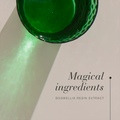 Image 5 for Boswellia 30 Tablets