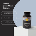 Image 2 for Lion's Mane Capsules10,000mg 60 Capsules