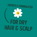 Image 4 for Faith In Nature Conditioner for Dry Hair Jojoba 400ml