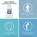 Image 2 for Schuessler Tissue Salts Kali Mur 5 125 Tablets
