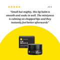 Image 3 for Lip Rescue 165Mg Cbd 10ml