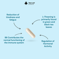 Image 2 for L-Theanine 120 Capsules
