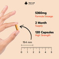 Image 4 for Turmeric 5In1 Complex 120 Capsules