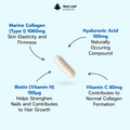 Image 2 for Marine Collagen 60 Capsules