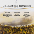 Image 3 for Focus Yerba Mate Tea (Peppermint & Liquorice) 15 Tea Bags