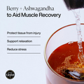 Image 2 for Recover Rooibos Tea (Berry & Ashwagandha) 15 Tea Bags