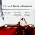Image 3 for Rise English Breakfast Tea (Ginkgo Biloba & Gotu Kola) 15 Tea Bags