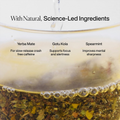 Image 3 for Perform Yerba Mate Tea (Lemongrass & Mint) 15 Tea Bags
