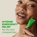 Image 2 for Skin Food Lip Balm 8ml