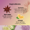 Image 4 for Superblends Turmeric 20 Tea Bags