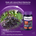 Image 3 for Immuno Forte Black Elderberry 30 Gummies