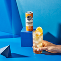 Image 3 for Ginger Lemon Kombucha 250ml