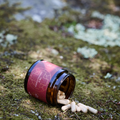 Image 3 for True Ashwagandha 60 Capsules