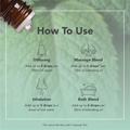 Image 4 for Peppermint Organic Pure Essential Oil 9ml