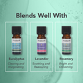 Image 5 for Peppermint Organic Pure Essential Oil 9ml