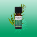 Image 2 for Tea Tree Organic Pure Essential Oil 9ml