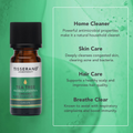 Image 3 for Tea Tree Organic Pure Essential Oil 9ml