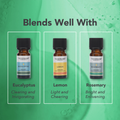 Image 5 for Tea Tree Organic Pure Essential Oil 9ml