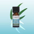 Image 2 for Eucalyptus Organic Pure Essential Oil 9ml