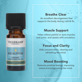 Image 3 for Eucalyptus Organic Pure Essential Oil 9ml