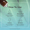 Image 4 for Eucalyptus Organic Pure Essential Oil 9ml