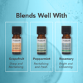 Image 5 for Eucalyptus Organic Pure Essential Oil 9ml