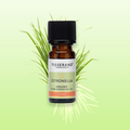 Image 2 for Citronella Organic Pure Essential Oil 9ml