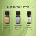 Image 5 for Citronella Organic Pure Essential Oil 9ml