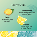 Image 4 for Superblends Detox 20 Tea Bags