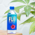 Image 4 for Fiji Water 500ml