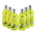 Dr Organic Tea Tree Shampoo & Conditioner Bundle 6 x 265ml
